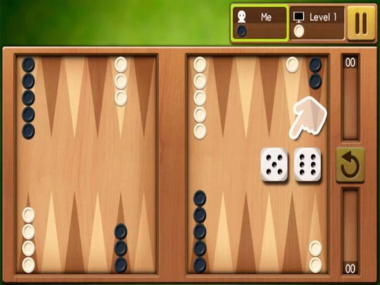 Изображение игры: Backgammon King
