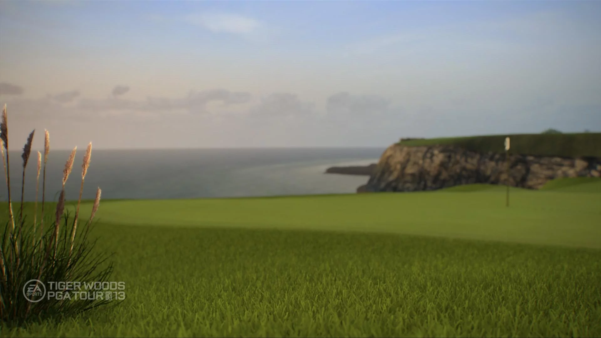 Изображение игры: Tiger Woods PGA TOUR 13