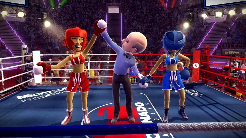 Изображение игры: Boxing Fight