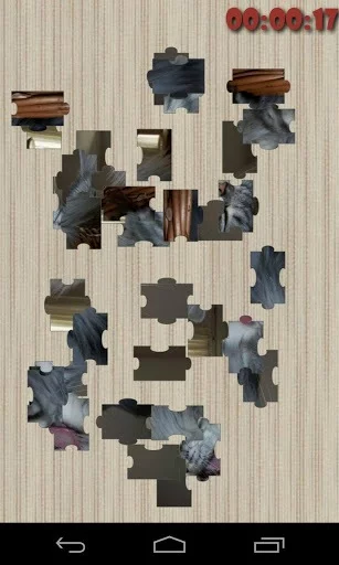 Изображение игры: Pet Puzzle Free