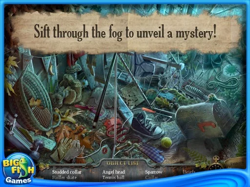 Изображение игры: Enigmatis - Hidden Object Game