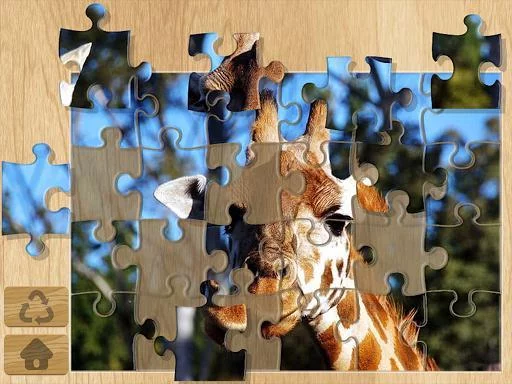 Изображение игры: Photo Puzzles