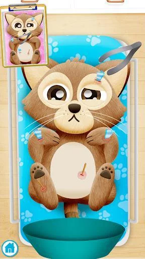 Изображение игры: Pet Doctor. Animal Care Game