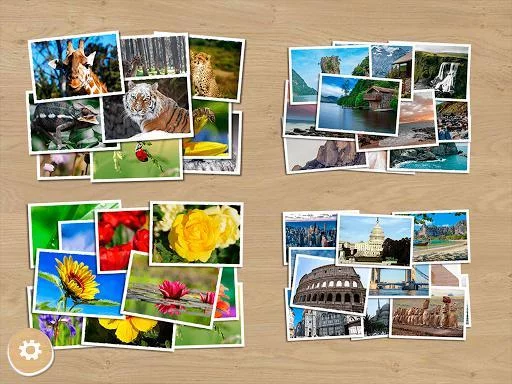 Изображение игры: Photo Puzzles