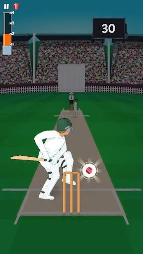 Изображение игры: Mighty Cricket