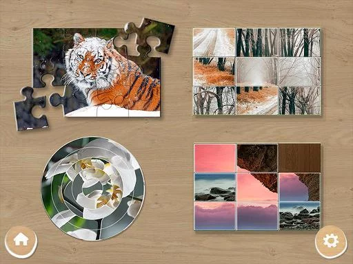 Изображение игры: Photo Puzzles
