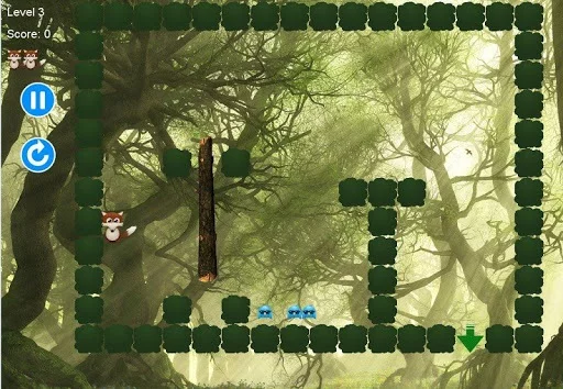 Изображение игры: Fox Gravity