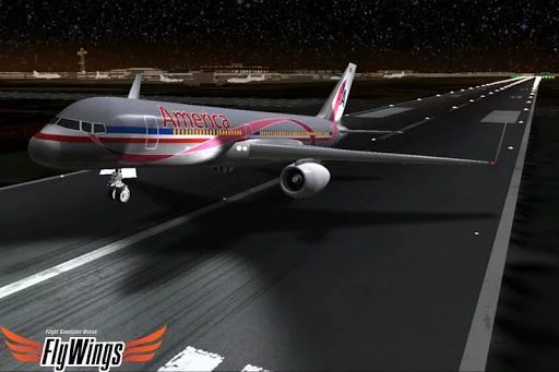 Изображение игры: Flight Simulator Night NY HD