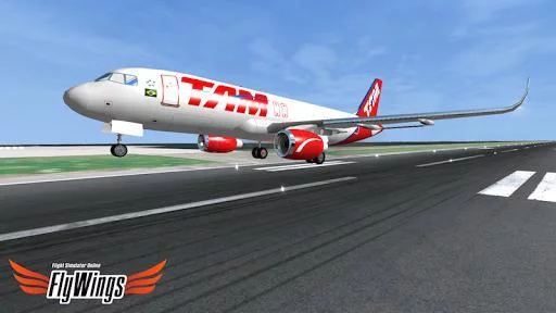 Изображение игры: Flight Simulator Online 14 HD
