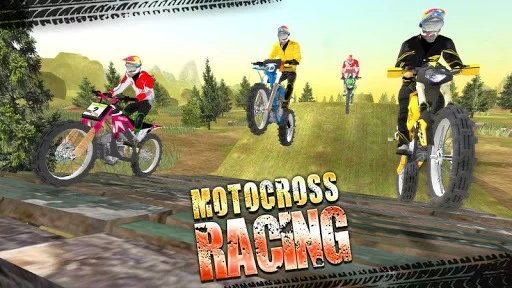 Изображение игры: Motocross Racing