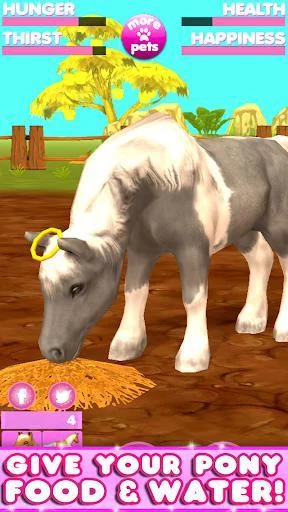Изображение игры: Virtual Pet Pony