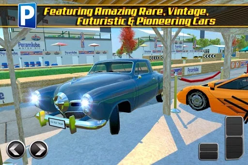 Изображение игры: Driving Evolution
