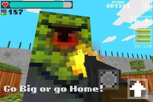 Изображение игры: Block Gun 3D