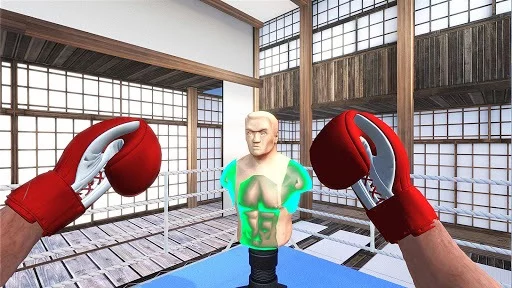Изображение игры: Box Fighter VR