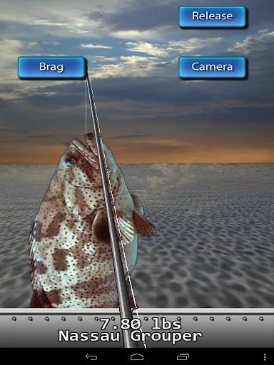 Изображение игры: Saltwater Fishing For Friends