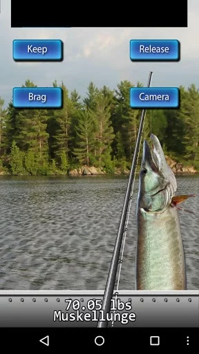 Изображение игры: Fishing For Friends