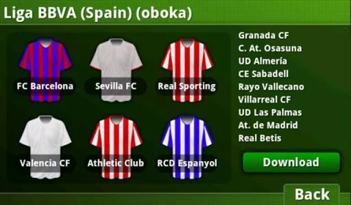 Изображение игры: Striker Soccer
