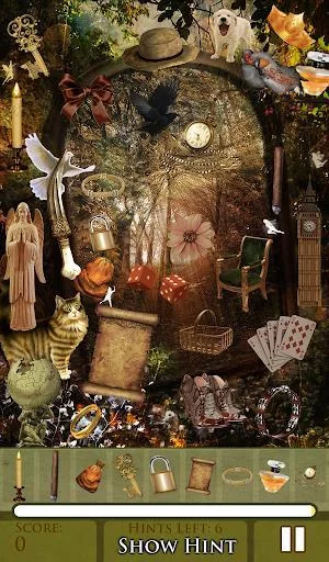 Изображение игры: Hidden Object - Fairy Forest