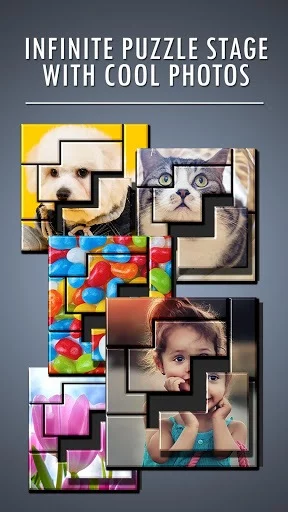 Изображение игры: Photo Block Puzzle for FREE: Infinite stage