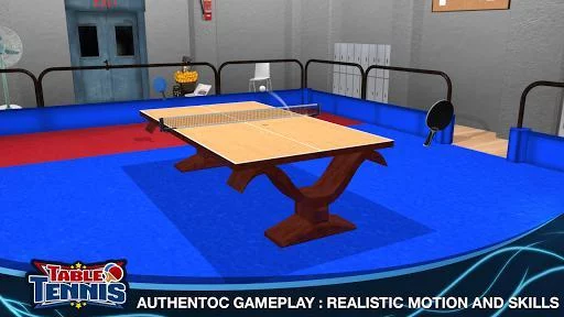 Изображение игры: Table Tennis Multiplayer