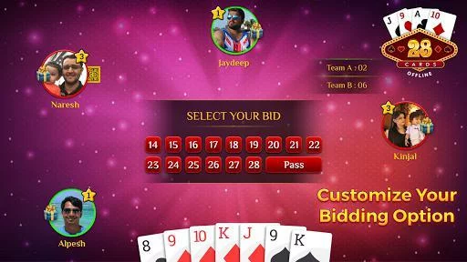 Изображение игры: 28 Card Game - Twenty Eight
