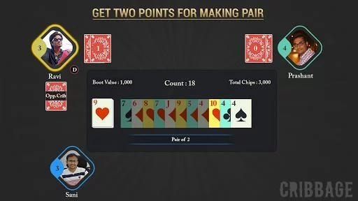 Изображение игры: Cribbage - Crib Free Card Game