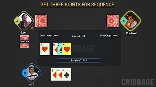 Изображение игры: Cribbage - Crib Free Card Game