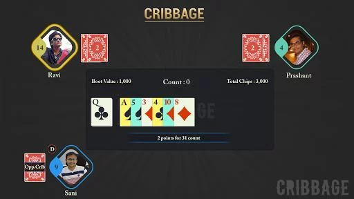 Изображение игры: Cribbage - Crib Free Card Game