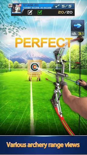 Изображение игры: Archery Tournament