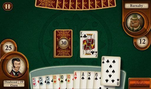 Изображение игры: Aces Gin Rummy Free