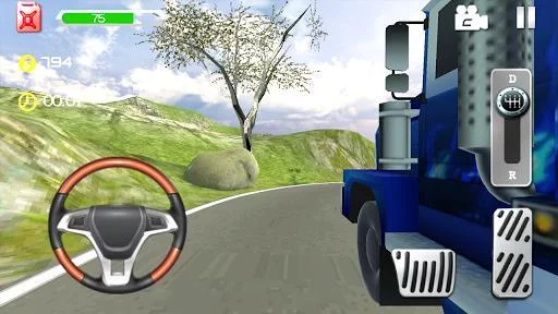 Изображение игры: Truck Driving Speed 3D