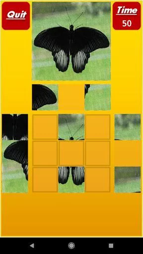 Изображение игры: Puzzle My Mind Pro