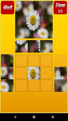 Изображение игры: Puzzle My Mind Pro