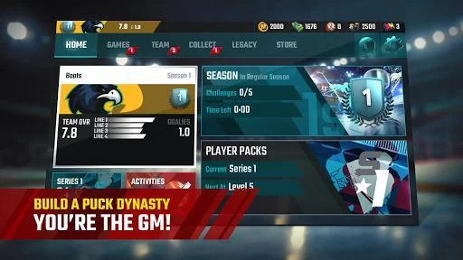Изображение игры: Franchise Hockey 2018
