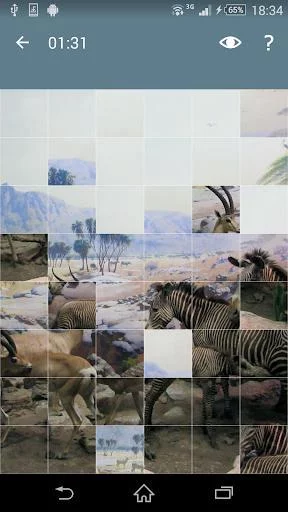 Изображение игры: Jigsaw Puzzle: Animals