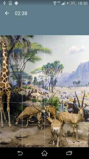 Изображение игры: Jigsaw Puzzle: Animals