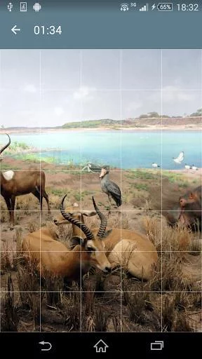 Изображение игры: Jigsaw Puzzle: Animals