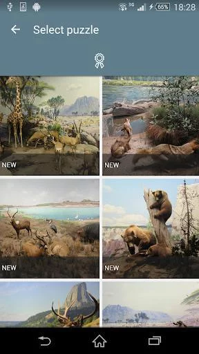 Изображение игры: Jigsaw Puzzle: Animals