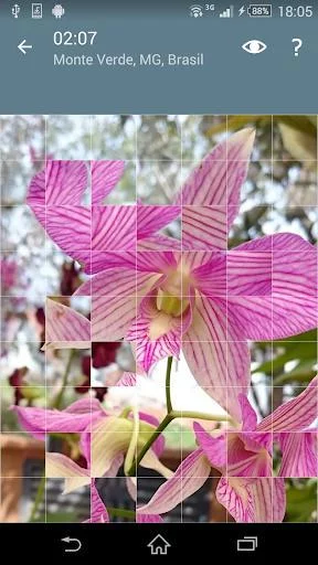 Изображение игры: Jigsaw Puzzle: Flowers