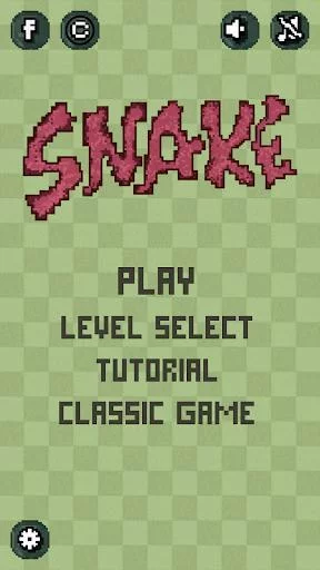 Изображение игры: Retro Snake Puzzle