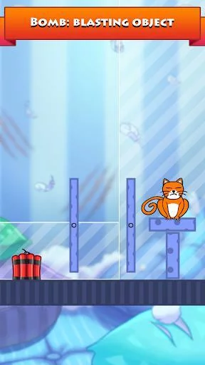 Изображение игры: Hello Cats