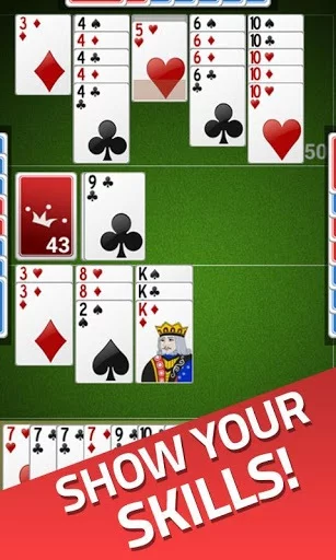 Изображение игры: Canasta Jogatina
