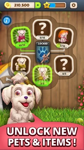 Изображение игры: Solitaire Pets - Online Arena - Free Card Game