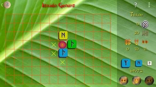 Изображение игры: Ishido Genius HD