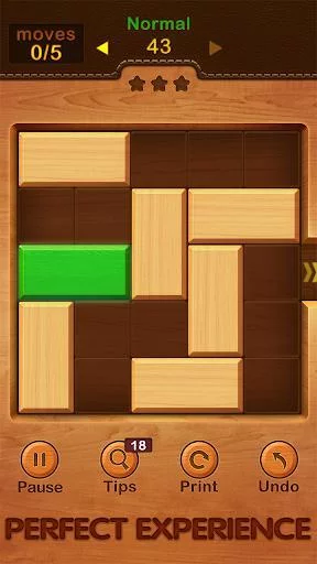 Изображение игры: Unblock Puzzle