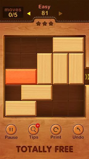 Изображение игры: Unblock Puzzle