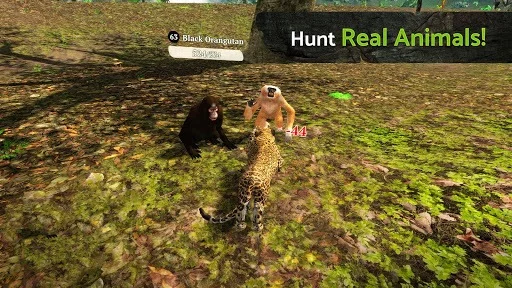 Изображение игры: Panther Online