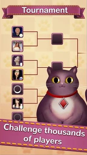 Изображение игры: Solitaire Cats