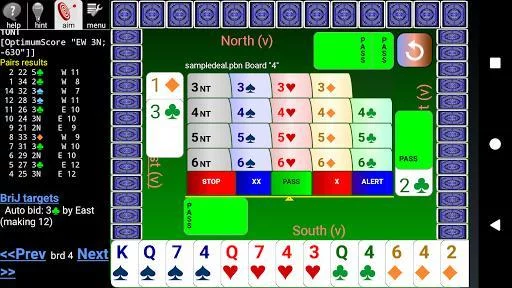 Изображение игры: BJ Bridge Free (2018)