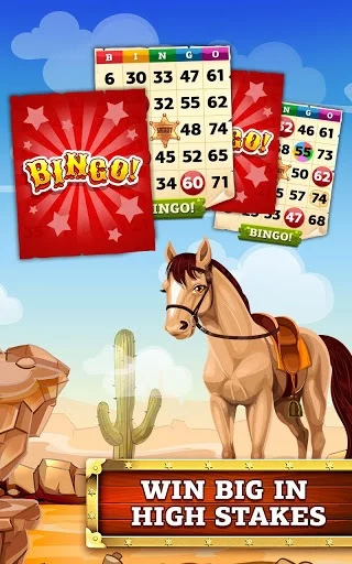 Изображение игры: Bingo Cowboy Story